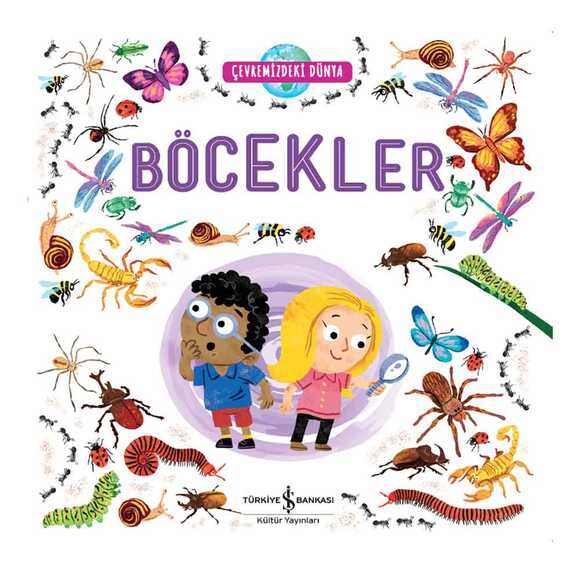 Çevremizdeki Dünya Böcekler