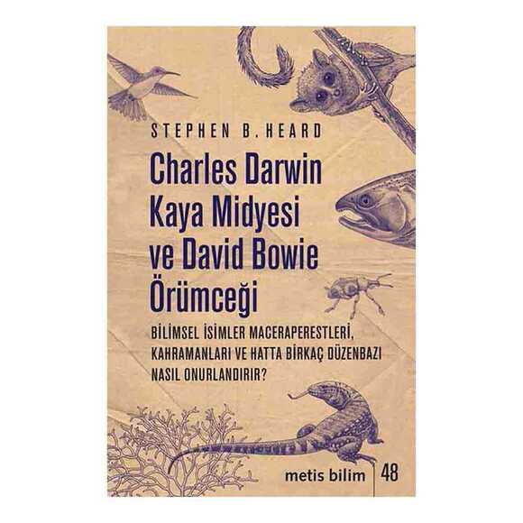 Charles Darwin Kaya Midyesi ve David Bowie Örümceği