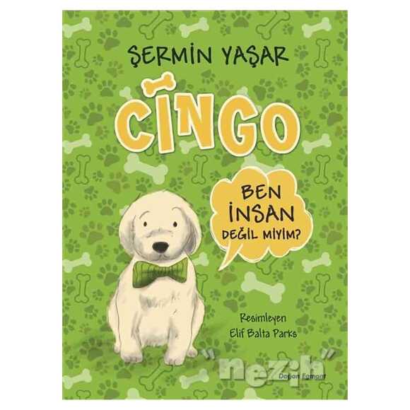 Cingo