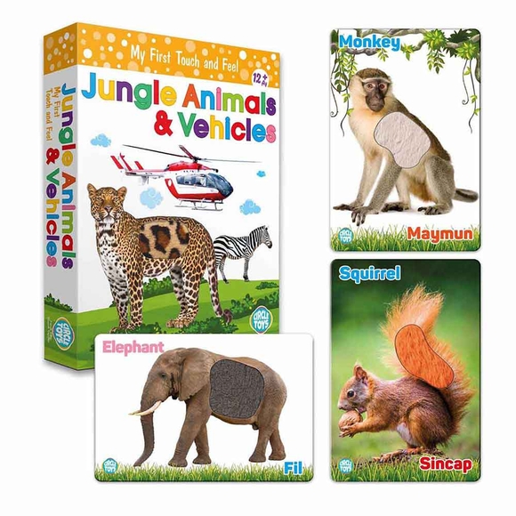 Circle Toys Dokun Hisset Jungle Animals (Orman Hayvanları Ve Araçlar) CRCL043