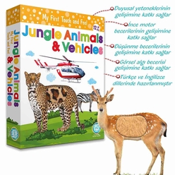 Circle Toys Dokun Hisset Jungle Animals (Orman Hayvanları Ve Araçlar) CRCL043 - Thumbnail