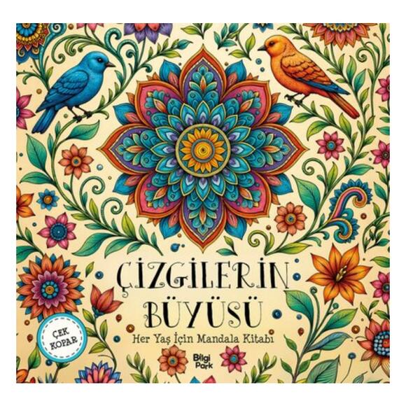 Çizgilerin Büyüsü - Mandala (Heryaş)