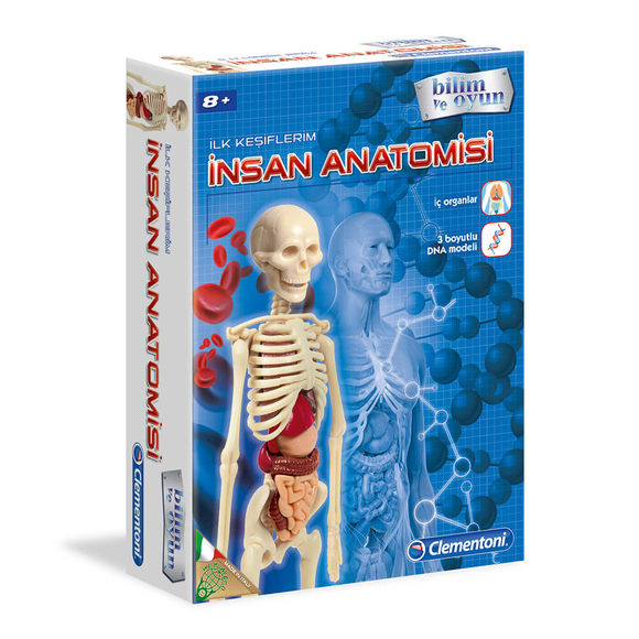 Clementoni İlk Keşiflerim İnsan Anatomisi 64297