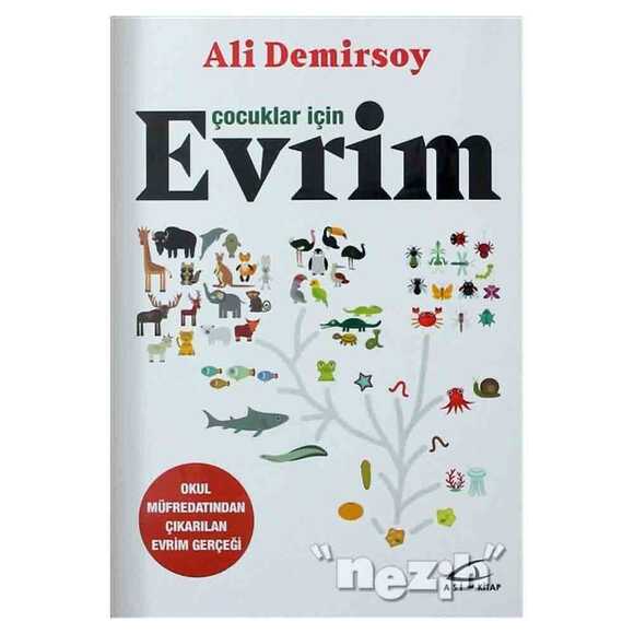 Çocuklar için Evrim