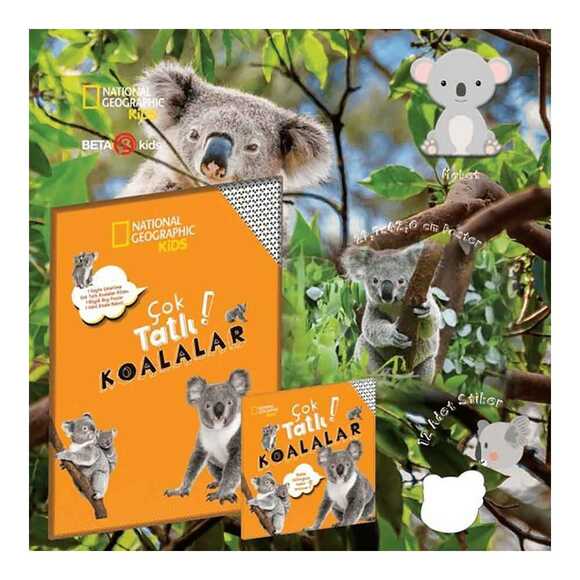 Çok Tatlı Koalalar