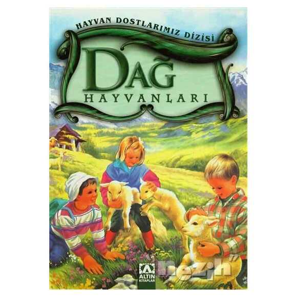 Dağ Hayvanları