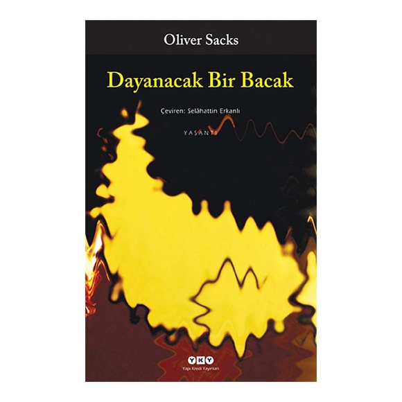 Dayanacak Bir Bacak