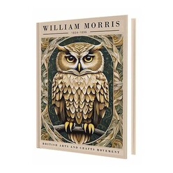 Deffter - Deffter 64592-3 Gold Owl