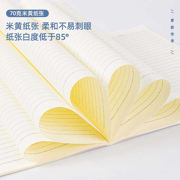 Deli Basic Serisi B5 40 Yp. Dikişli Çizgili Defter FB540