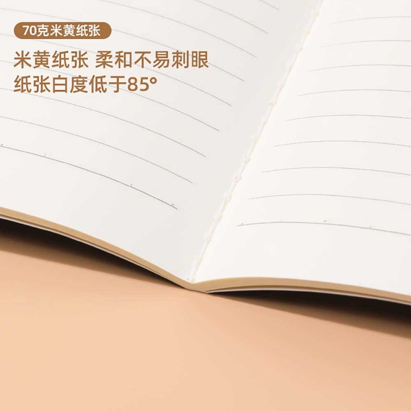 Deli Dinozor Serisi B5 40 Yp. Dikişli Çizgili Defter FB540