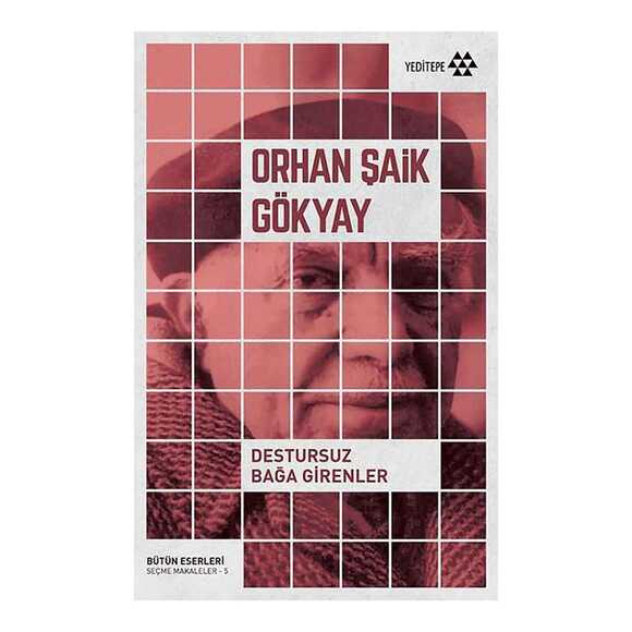 Destursuz Bağa Girenler