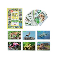 Diytoy Eğitici Flash Cards Book İlk 50 Hayvan - Thumbnail