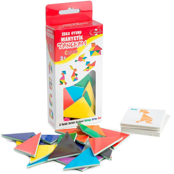 Diytoy Manyetik Zeka Oyunu Tangram