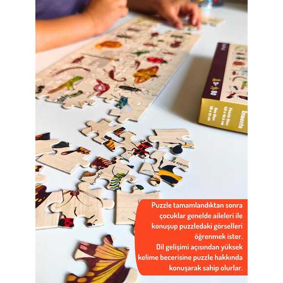 Doerkids Midi Puzzle - Böcekler ve Böcekler 80 Parça Puzzle