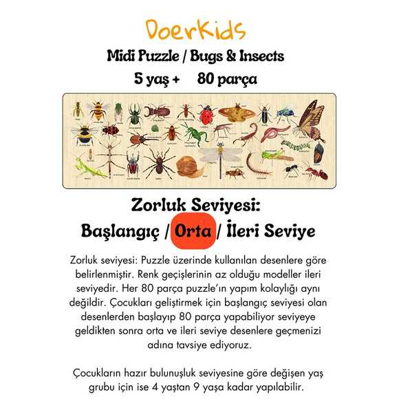 Doerkids Midi Puzzle - Böcekler ve Böcekler 80 Parça Puzzle