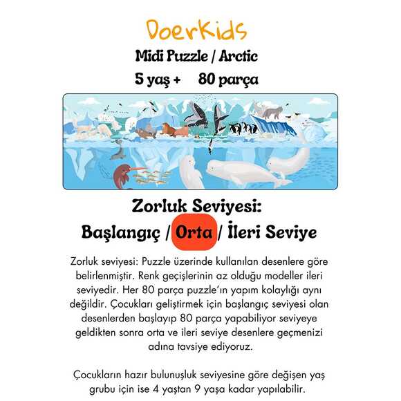 Doerkids Midi Puzzle - Kuzey Kutbu’nun Üstünde ve Altında 80 Parça Puzzle