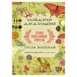 Odtü Yayınları - Doğanın Anatomisi