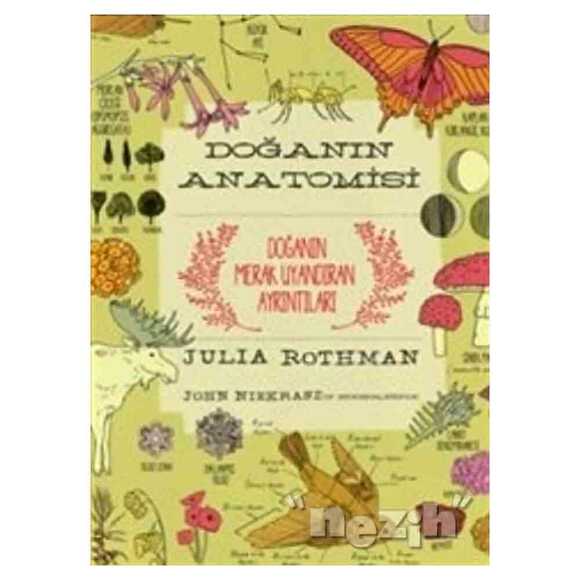 Doğanın Anatomisi