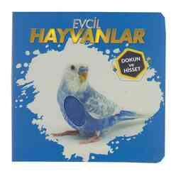 Dokun ve Hisset - Evcil Hayvanlar - Thumbnail