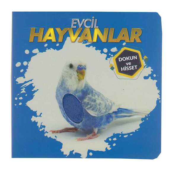 Dokun ve Hisset - Evcil Hayvanlar