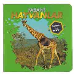Dokun ve Hisset - Yabani Hayvanlar - Thumbnail