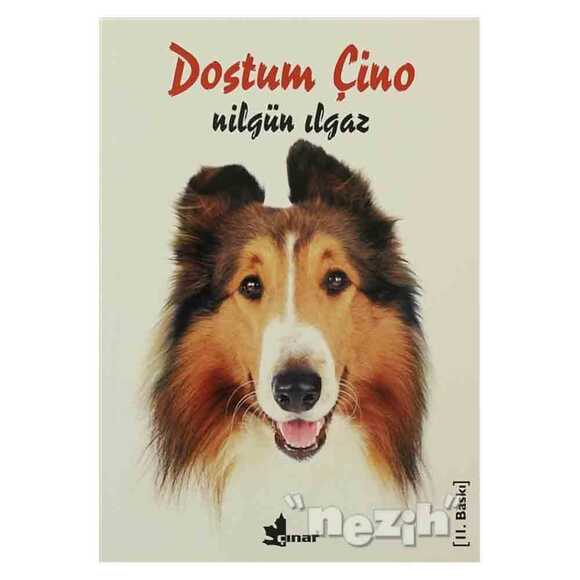 Dostum Çino