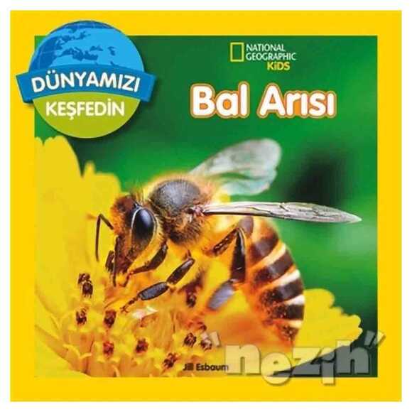 Dünyamızı Keşfedin - Bal Arısı