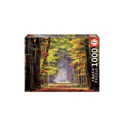 Agt Educa - Educa Puzzle 1000 Paseo Otonal 19021