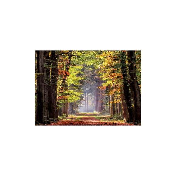 Educa Puzzle 1000 Paseo Otonal 19021