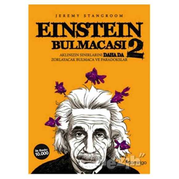 Einstein Bulmacası 2