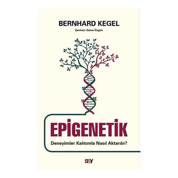 Epigenetik