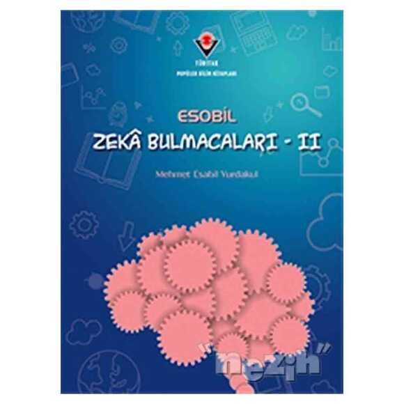 ESOBİL Zeka Bulmacaları 2