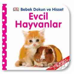 Evcil Hayvanlar - Thumbnail