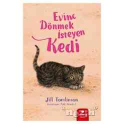 Evine Dönmek İsteyen Kedi - Thumbnail