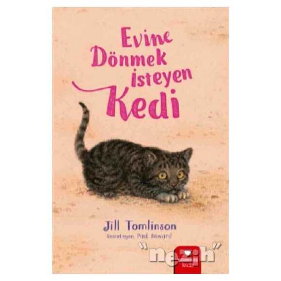Evine Dönmek İsteyen Kedi