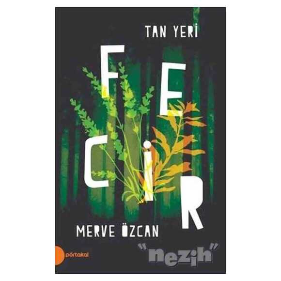 Fecir - Tan Yeri 2