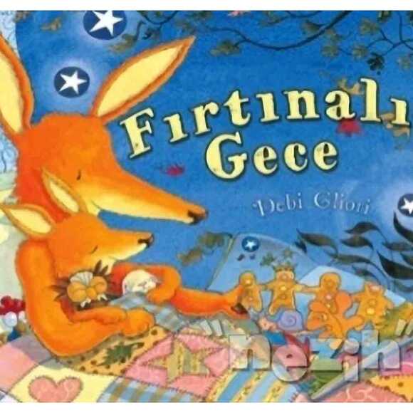 Fırtınalı Gece