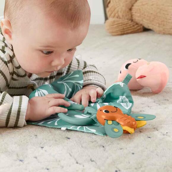Fisher-Price Duyuları Harekete Geçiren Oyun Seti HRB17