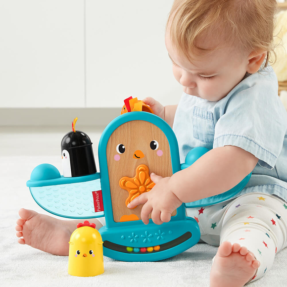 Fisher Price Eğlenceli Kuş GJW26