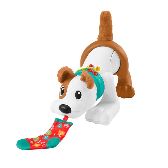 Fisher Price Emeklemeyi ve Saymayı Öğreten Köpekçik HHH13