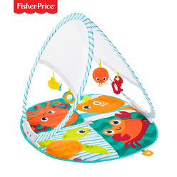 Fisher Price Renkli Dostlar Taşınabilir Jimnastik Merkezi FXC15 - Thumbnail