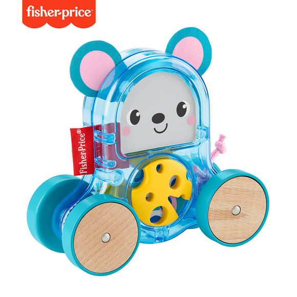 Fisher Price Sevimli Araçlar GJW12