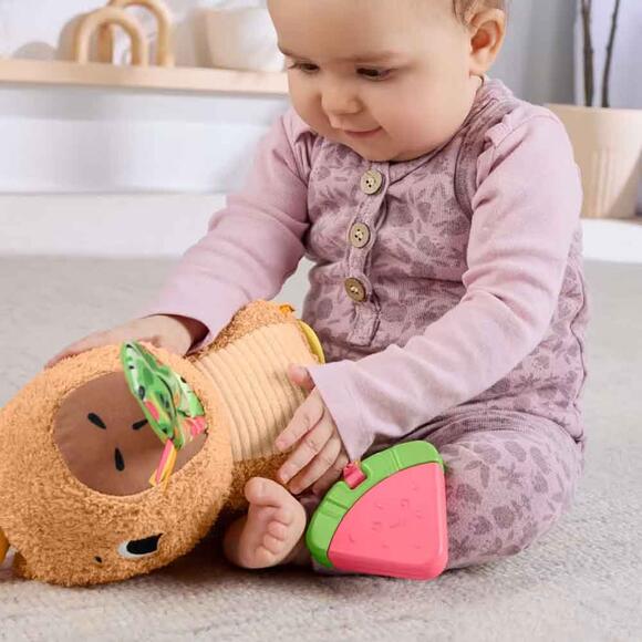Fisher Price Yumuşak Kapibara HYR54