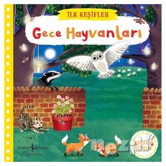 Gece Hayvanları