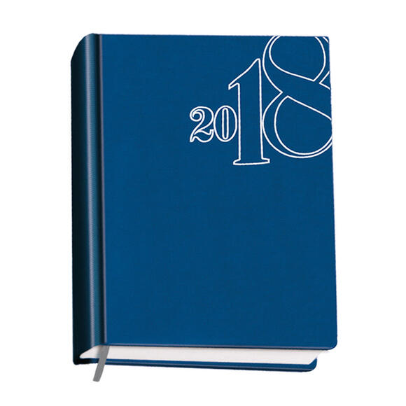 Gıpta 2026 Yılı 100-Eck Eko 14X20 Cilt Bezi Günlük Ajanda