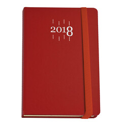 Gıpta - Gıpta 2026 Yılı 139-Erk 13X21 Eko Cilt Bezli Günlük Ajanda