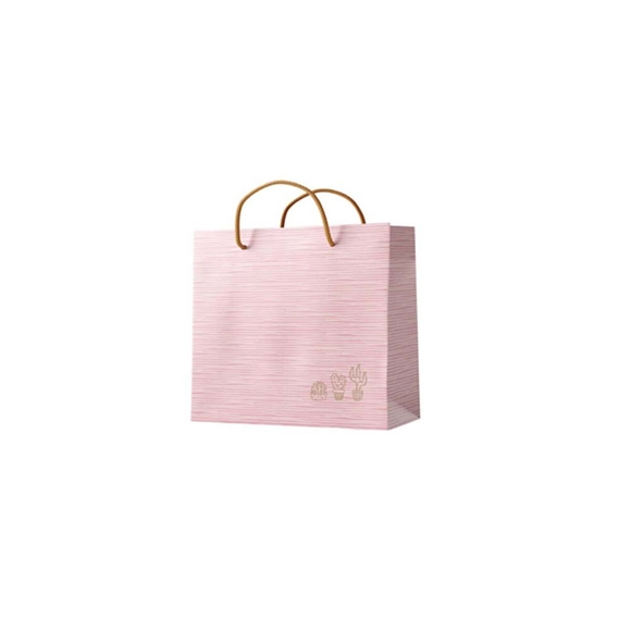 Gıpta Cactus B5 Çanta 330*135*320 BG2484-00