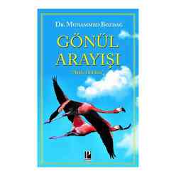 Pozitif Yayınları - Gönül Arayışı