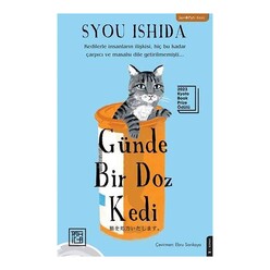 Günde Bir Doz Kedi - Thumbnail