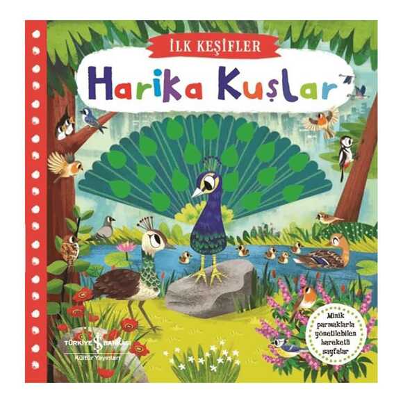 Hareketli Harika Kuşlar